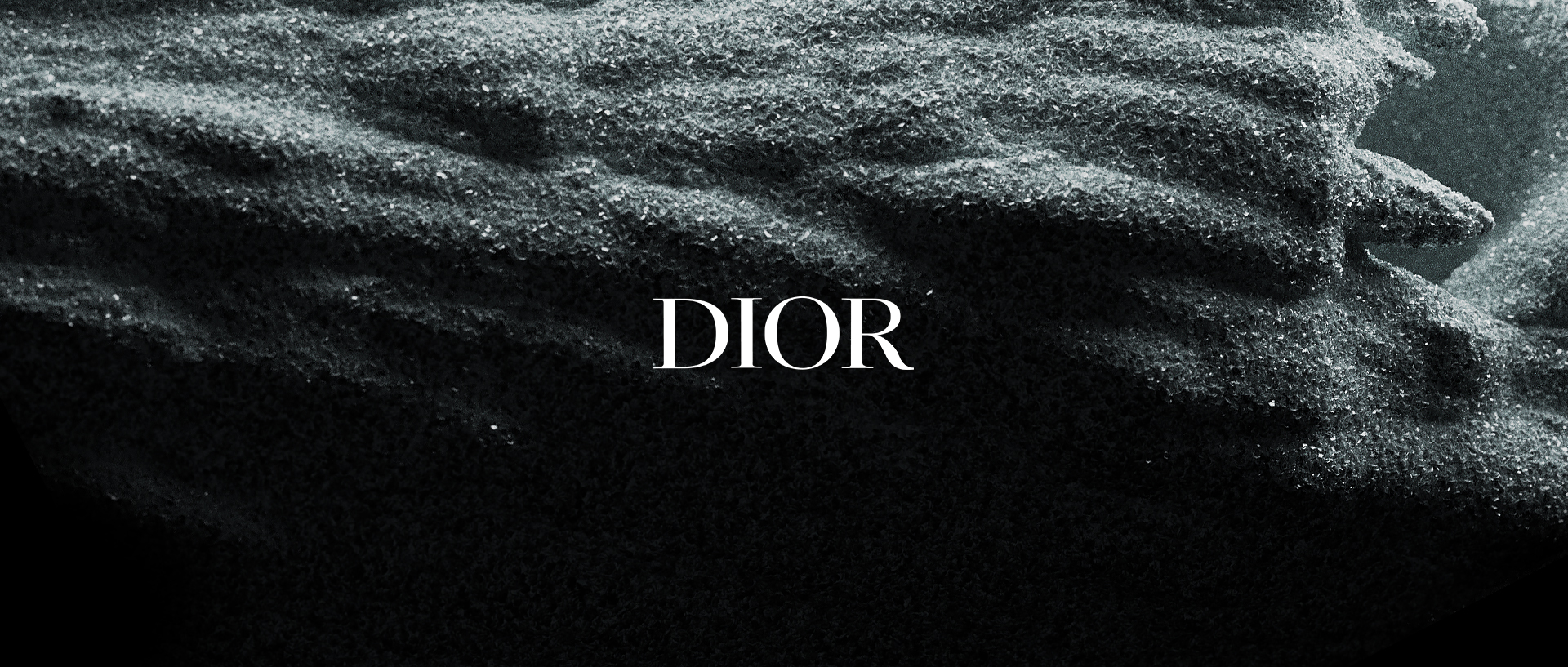 Dior - FW Collection 2021