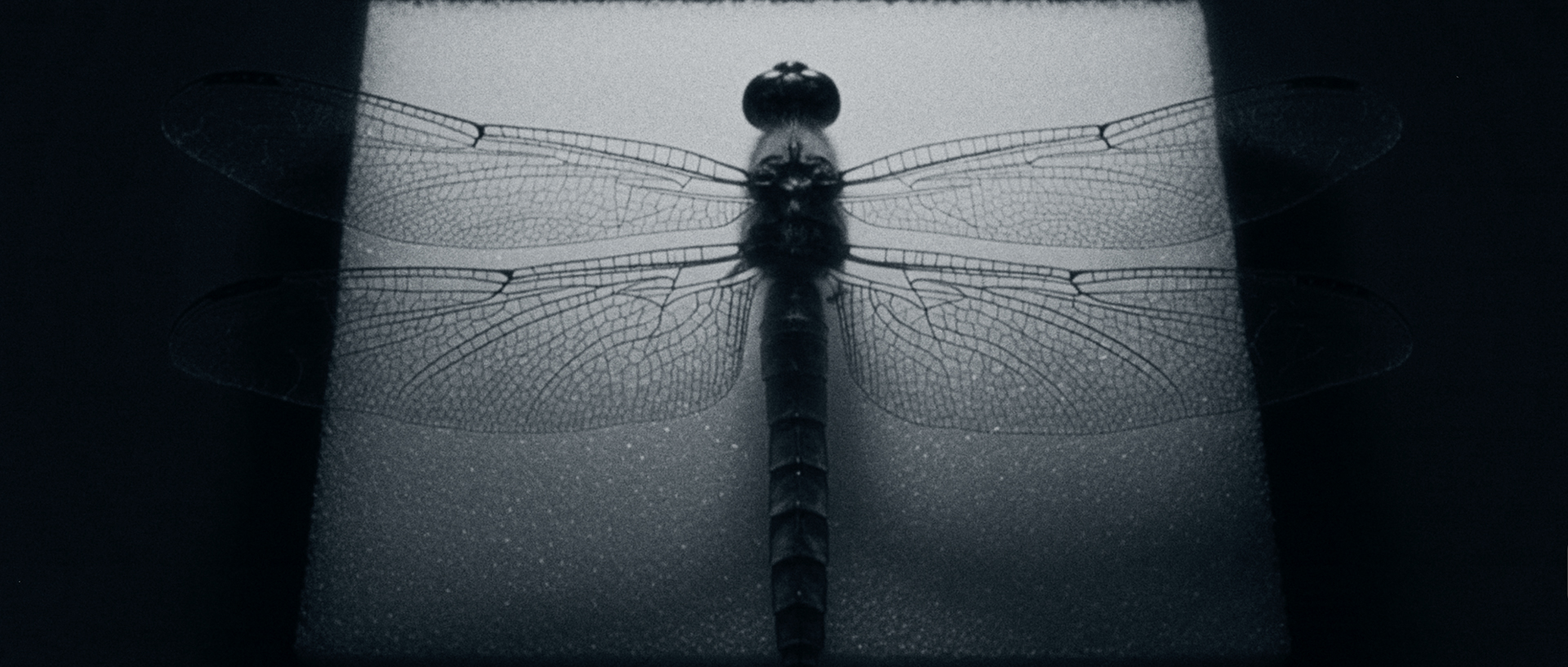 ON x 032c - Lightspray